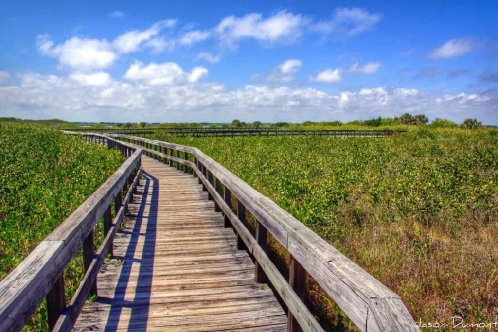 Zen Beach Retreat - Ocean View Townhouse -No Drive Beach New Smyrna Beach Exteriér fotografie