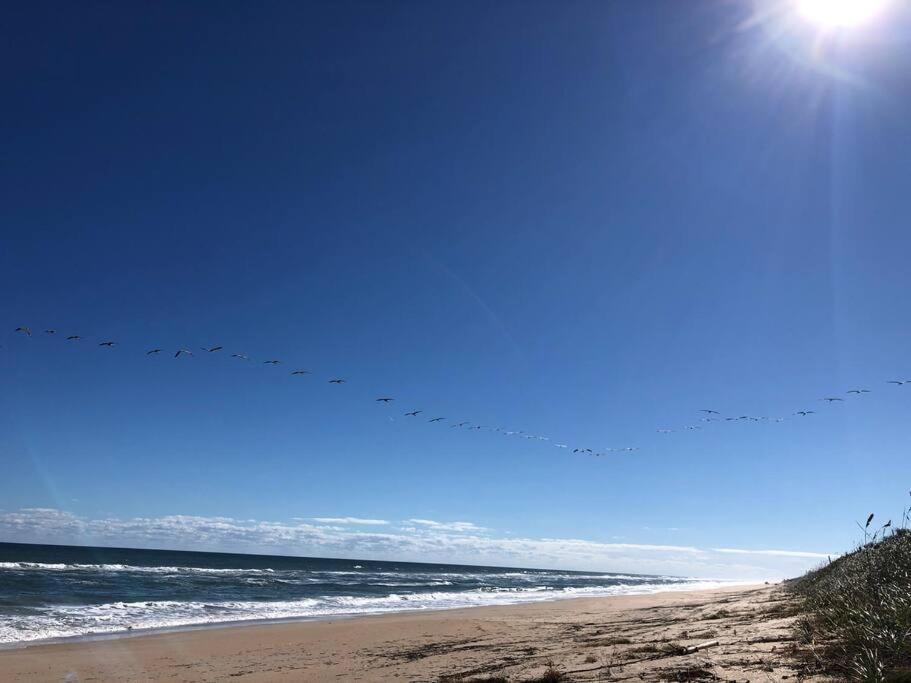 Zen Beach Retreat - Ocean View Townhouse -No Drive Beach New Smyrna Beach Exteriér fotografie